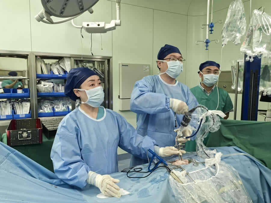Heart Failure Treatment Enters the "Artificial Heart" Era: No Longer Waiting for Transplants with Independent R&D Breakthroughs