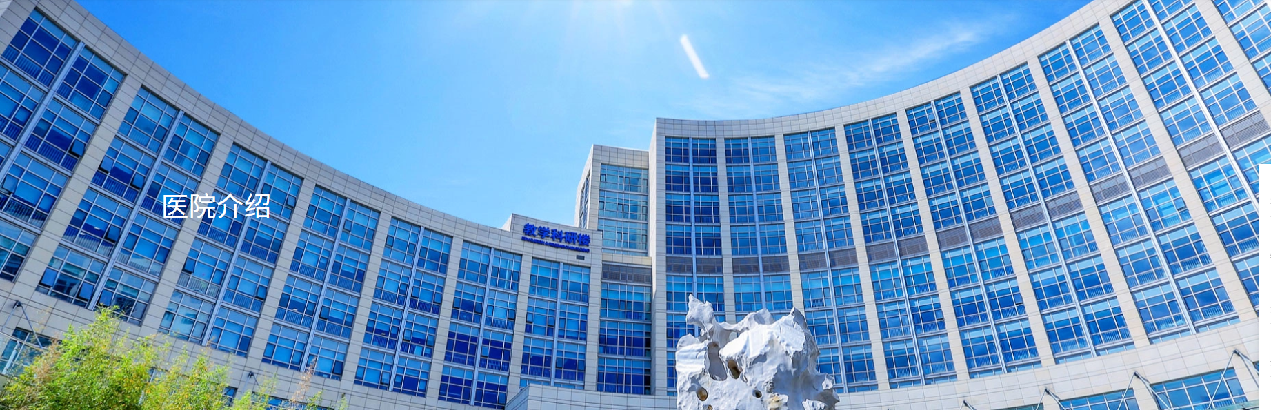 Peking University International Hospital