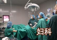 Gynecology