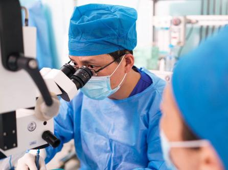 Vitreoretinal Diseases Discipline